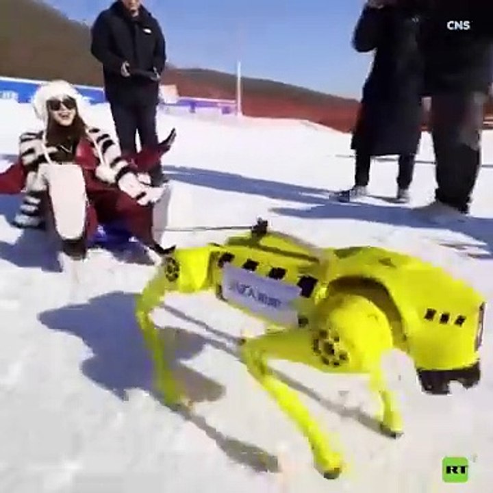 Trineos tirados por perros robot en China