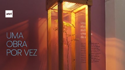 UMA OBRA POR VEZ - JAIME LAURIANO