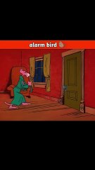 alarm bird 🦫 #shorts, #cartoon