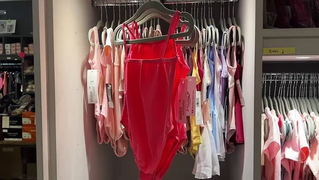 Fin de ballet pour la boutique « Au lac des Cygnes »