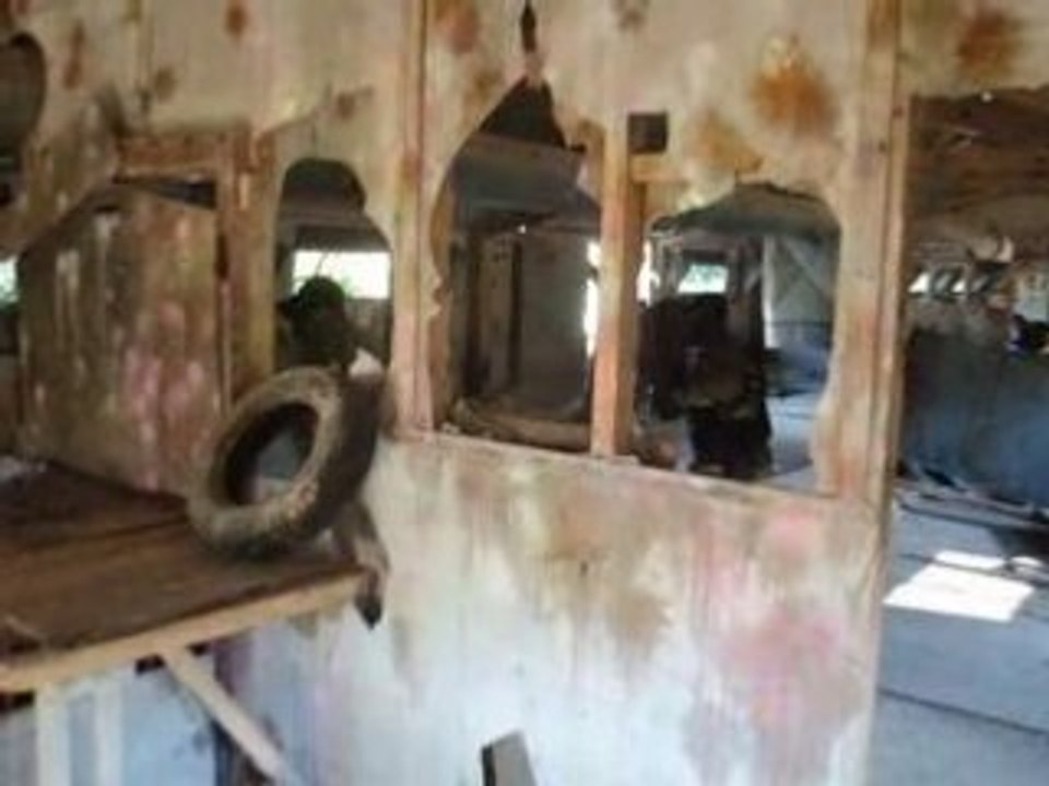 Airsoft 7