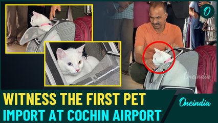 Eva the Cat Becomes First Pet to Arrive at Cochin International Airport Under New AQCS Certification
