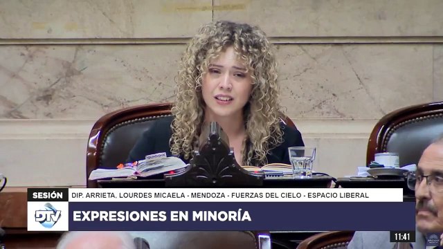 Lourdes Arrieta lloró en Diputados