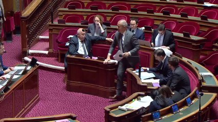 Budget 2025 : le Sénat vote une taxe exceptionnelle visant le géant du fret maritime, CMA CGM