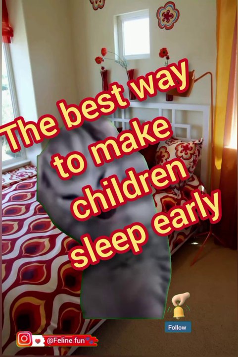 Funny cat videos 😂