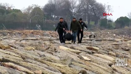 İstanbul Pendik’te sahilde 2 erkek cesedi bulundu