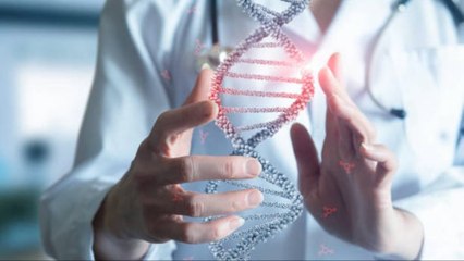 Sólo El 1% De Las Enfermedades Son Hereditarias, En El Resto Influye El Estilo De Vida