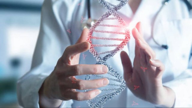 Sólo El 1% De Las Enfermedades Son Hereditarias, En El Resto Influye El Estilo De Vida