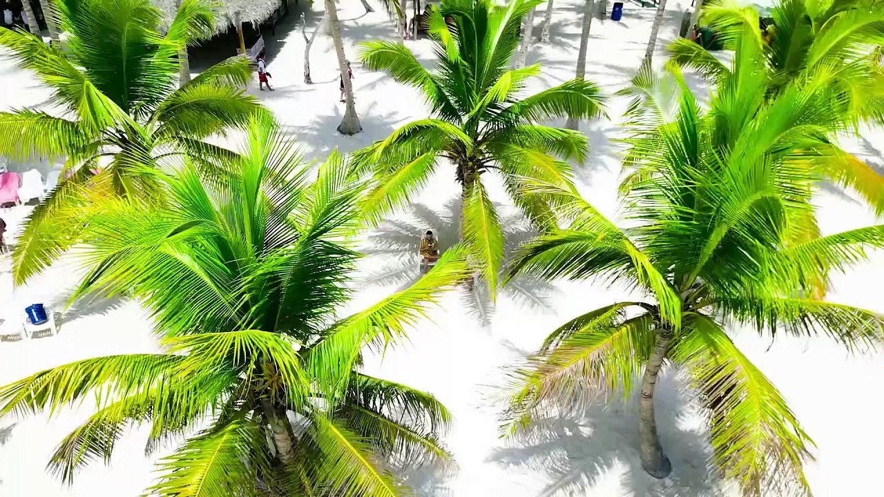 Incredible India: Discover the Breathtaking Beauty of Kerala