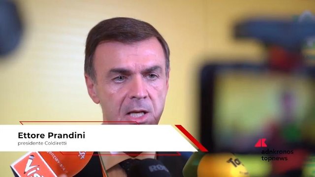 Tabacco, Prandini (Coldiretti): Accordo decennale Coldiretti-Philip Morris per dare certezze economiche ai nostri agricoltori