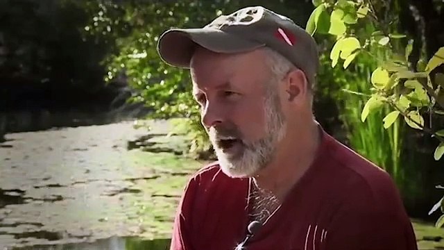 Les mystères cachés du Yucatán _ Plongée dans les Cénotes - Documentaire complet