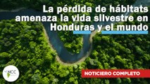 La pérdida de hábitats amenaza la vida silvestre en Honduras y el mundo | 712 | 02/12/24 - 08/12/24