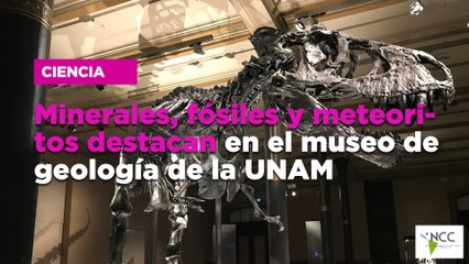 Minerales, fósiles y meteoritos destacan en el museo de geología de la UNAM