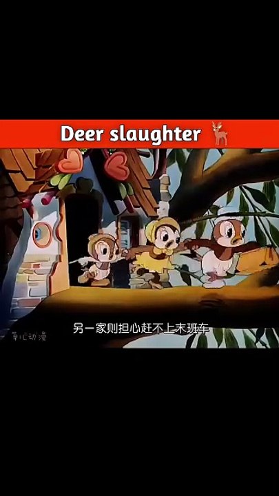 Deer slaughter 🦌