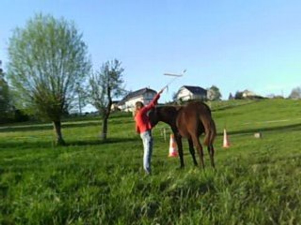 Toundra et le stick