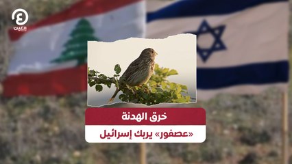 خرق الهدنة «عصفور» يربك إسرائيل