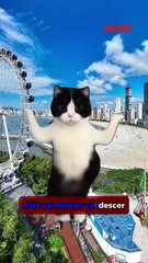 DIARINHO entrou pra trend do “Descer pra BC”