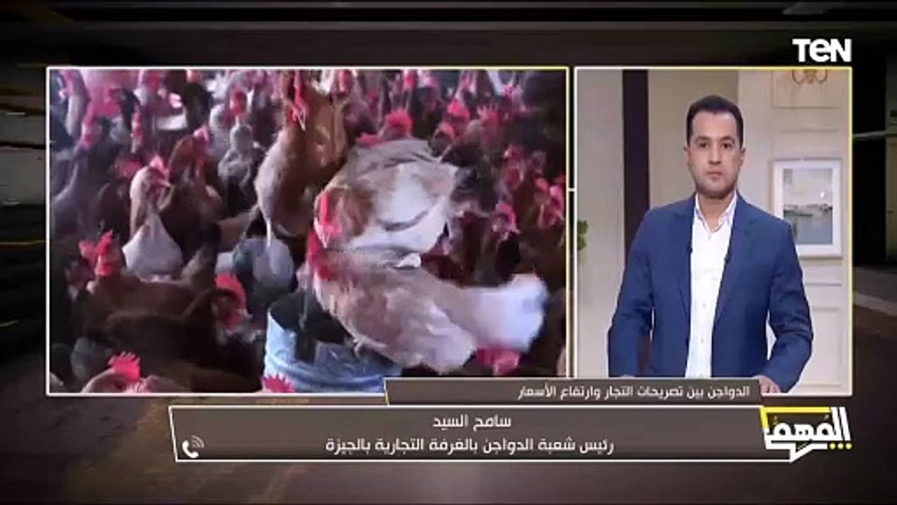 رئيس شعبة الدواجن: نطالب بإعادة تشغيل بورصة الدواجن.. وتحويل منافذ بيع الدواجن الحية لمبرده
