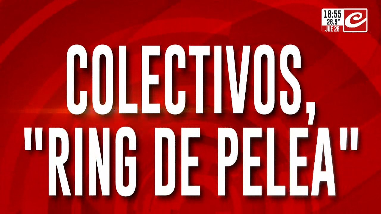 Ring de la pelea en los colectivos: discusiones, trompadas y violencia en transporte público