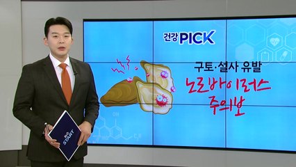 [건강PICK] 겨울철 특히 조심해야 할 노로바이러스..."어패류 익혀 먹어야" / YTN