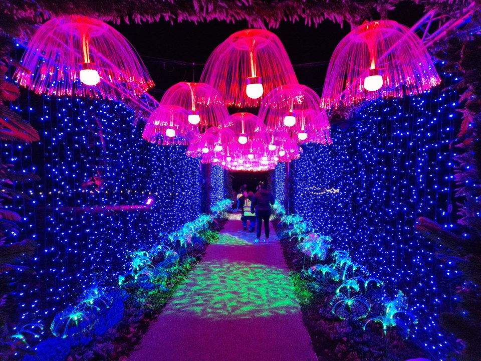 Glow Marwell