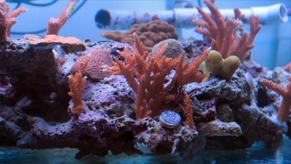 A Brief History Of The Future S01E06