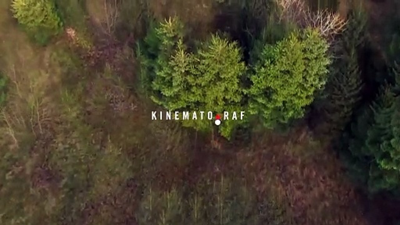 Sume sume | movie | 2024 | Official Trailer