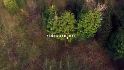 Sume sume | movie | 2024 | Official Trailer