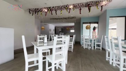 Tazas y Risas: el café perfecto para disfrutar en familia en Oreamuno, Cartago