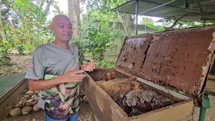 Visitamos el único tour de hormigas de Costa Rica
