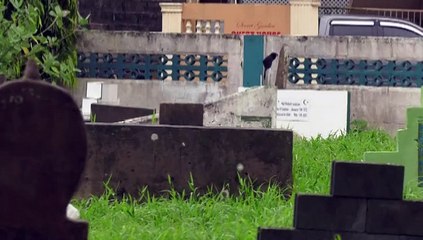 THE LIVING DEAD PART ONE