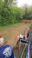 ,,,,,dog,,,,,,long jumping,,,,,