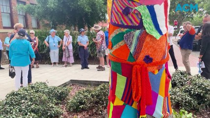 Kempsey yarn-bombing for domestic violence | November 29, 2024 | Macleay Argus