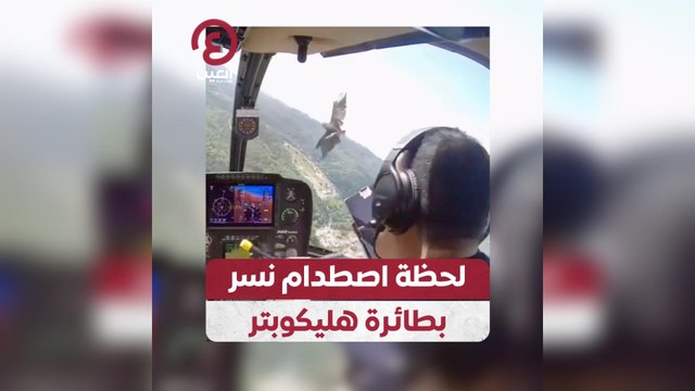 لحظة اصطدام نسر بطائرة هليكوبتر