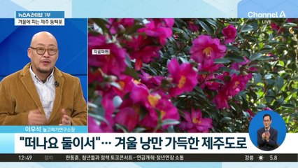 “떠나요 둘이서”…겨울 낭만 가득한 제주도