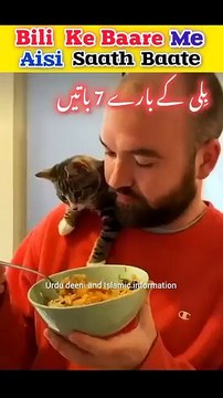 Islam mein Billi ke Bare mein yeh 7 baaten _islam _islamicstatus _facts _shorts _animals _cat(360P)
