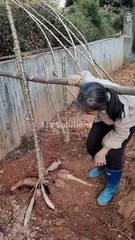 Chinese TikTok-DIY Magic: Create Something Amazing