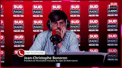 Comment bien choisir son sapin de Noël ?
