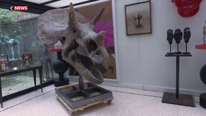 Archéologie : un crâne de tricératops et une scène de chasse mis en vente à Drouot
