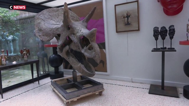 Archéologie : un crâne de tricératops et une scène de chasse mis en vente à Drouot