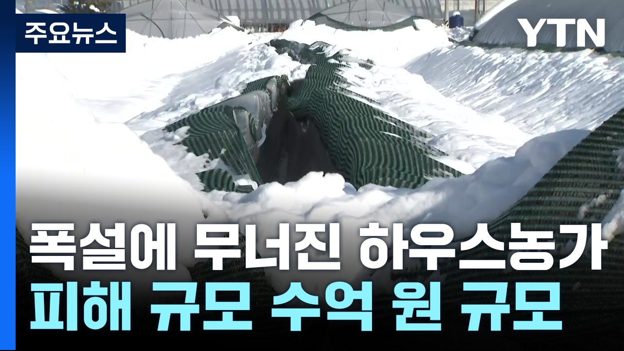무너진 하우스 농가..."눈 안 녹아 복구 시작 못 해" / YTN