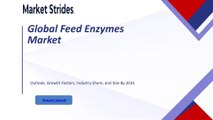 Global Feed Enzymes Market