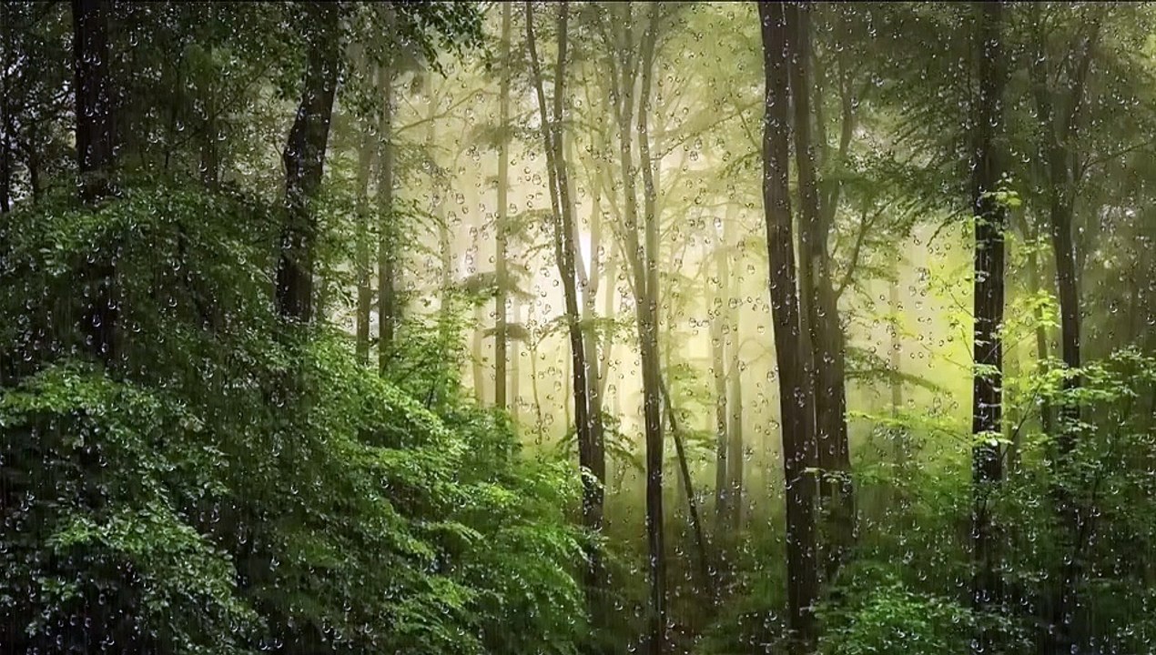 Beautiful Surah Yaseen Recitation l Beautiful Tilawat e Quran l Surah Yaseen Recitation l Surah Yaseen Recitation Beautiful l Surah Yasin Recitation l Lofi Quran Recitation For Sleep l Surah Yasin l Best Quran Recitation l Daily Quran Recitation l