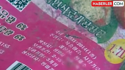 Kuzey Kore'den Güney Kore'ye çöp taşıyan balonlar gönderildi