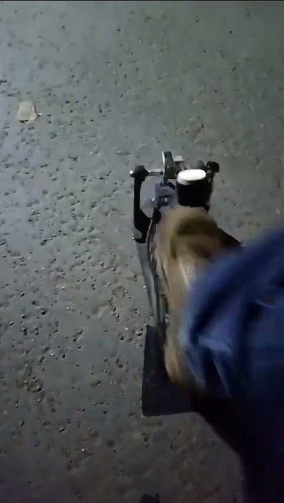 drum grip