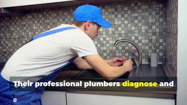 Need dependable plumbing services in Denver?