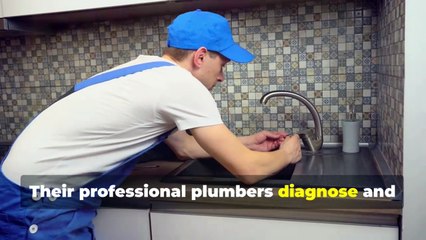 Need dependable plumbing services in Denver?