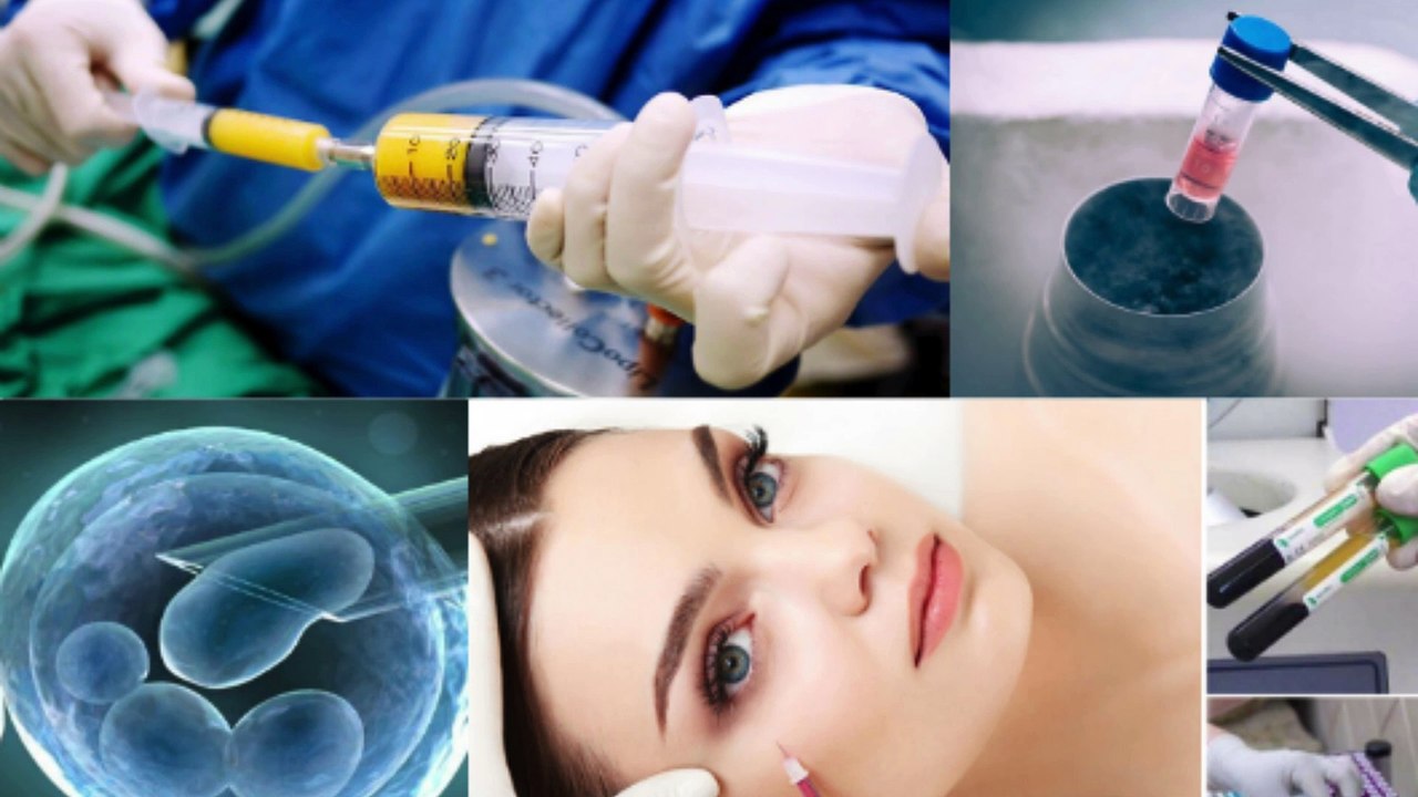 Emcas đưa công nghệ tế bào gốc về Việt Nam