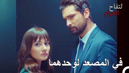 علق علي هان وزينب في المصعد - التفاح الحرام الحلقة ال 31