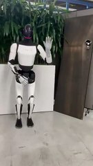 Robô da Tesla exibe nova habilidade em vídeo partilhado por Musk